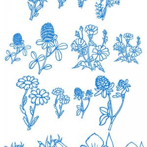 Floral Sketches Embroidery Machine Design