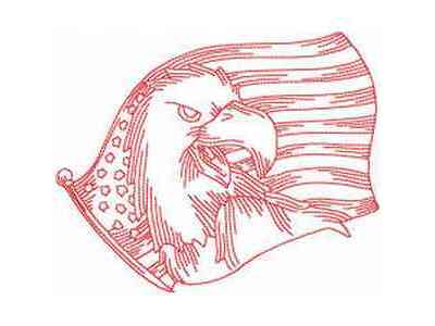 JN American Eagles Embroidery Machine Design