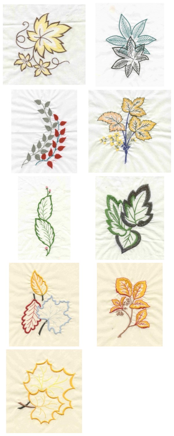 Large Openwork Fall Leaves Embroidery Machine Design Details