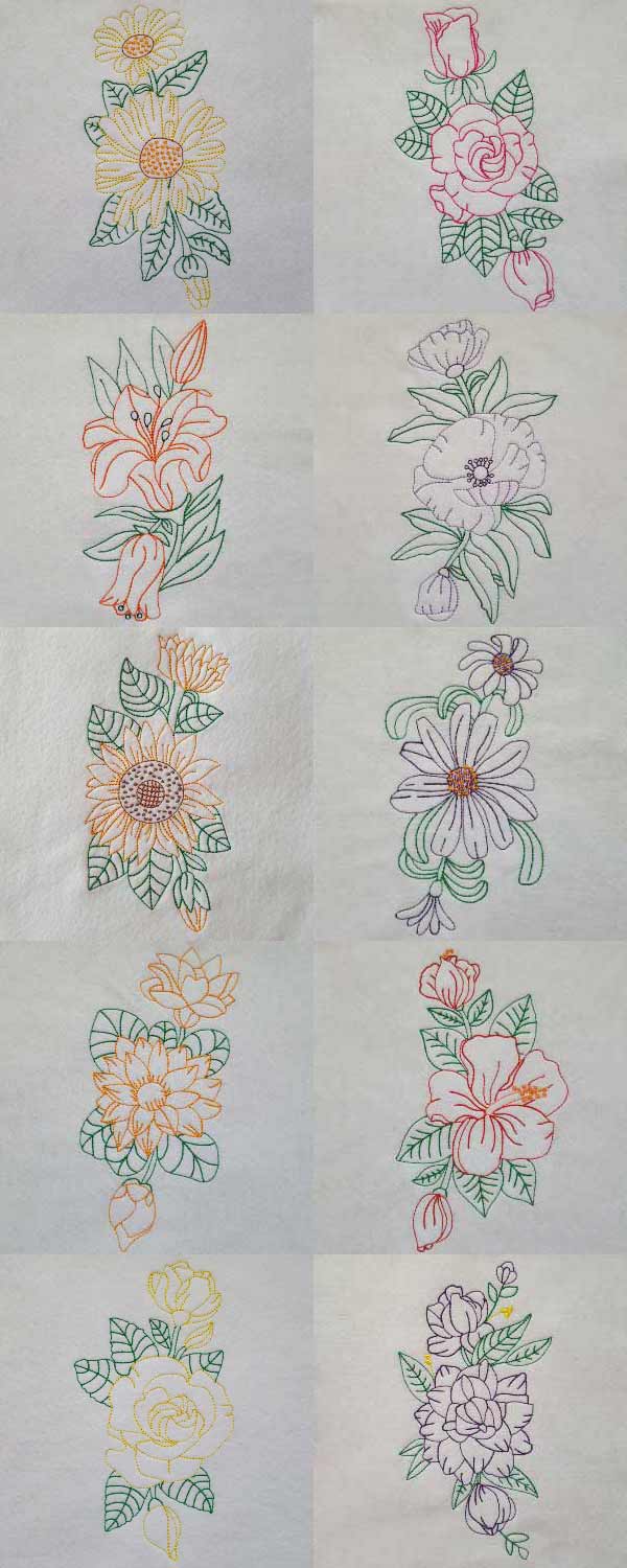 Color Line Flower Borders Embroidery Machine Design Details