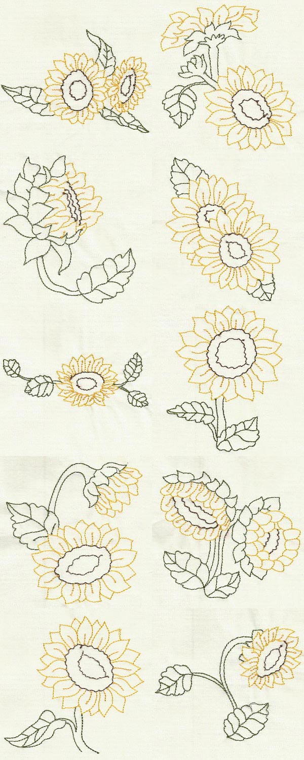 Color Line Sunflowers Embroidery Machine Design Details