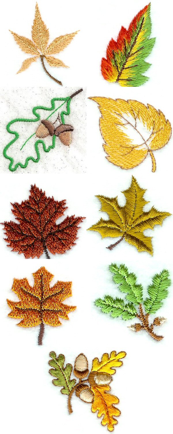 Mini Autumn Leaves Embroidery Machine Design Details