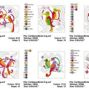 Caribbean Birds Embroidery Machine Design