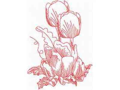 JN Tulips Embroidery Machine Design