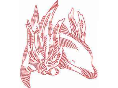 JN Dolphins Embroidery Machine Design