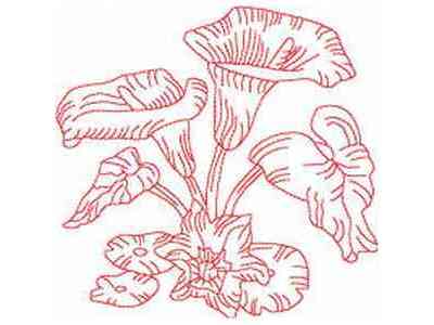 JN Florals Embroidery Machine Design