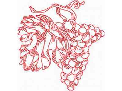 JN Grapes Embroidery Machine Design