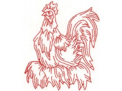 Rooster