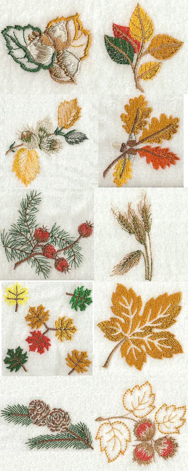 4x4 Autumn Leaves Embroidery Machine Design Details