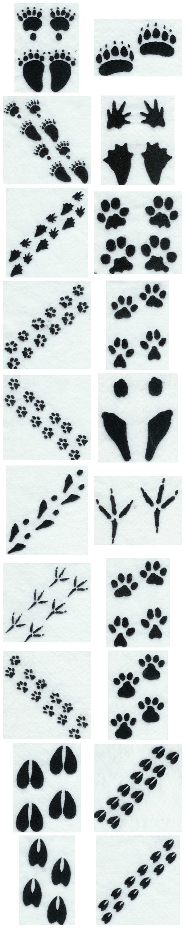 Animal Prints Embroidery Machine Design Details