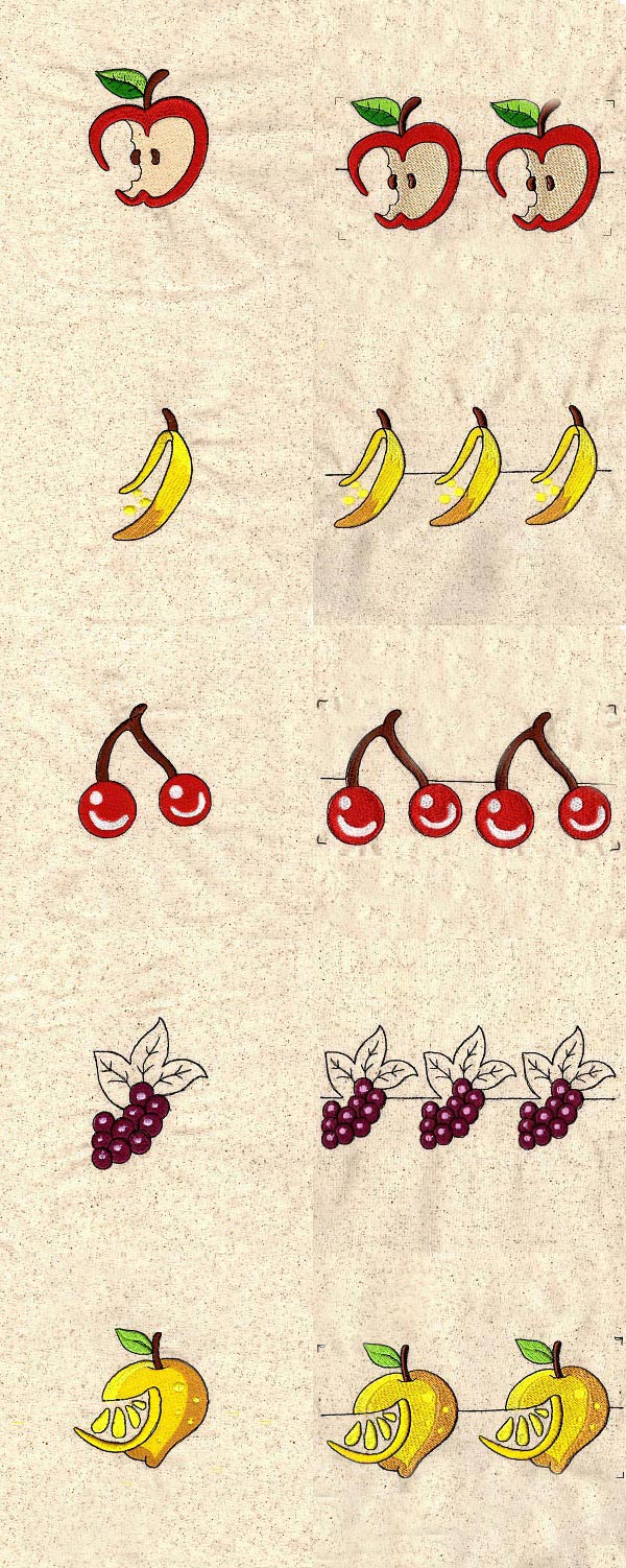 Fruit Borders Embroidery Machine Design Details