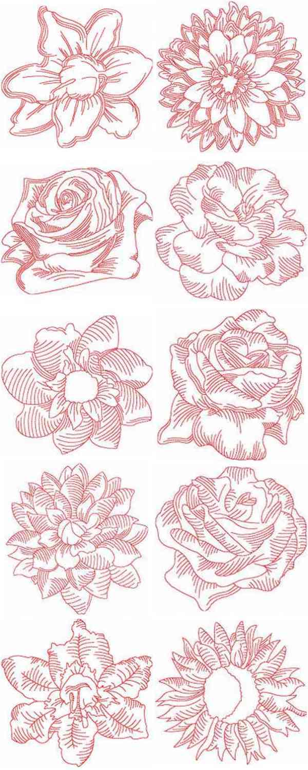 JN Classic Flowers Embroidery Machine Design Details