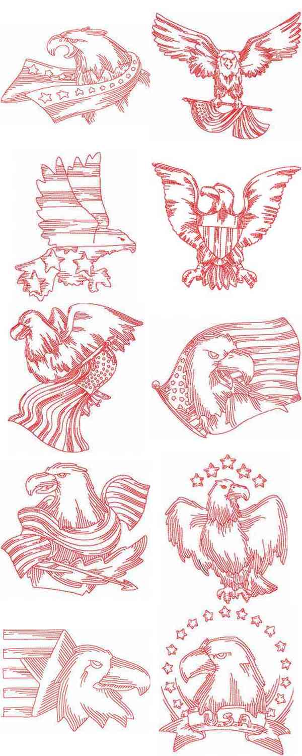 JN American Eagles Embroidery Machine Design Details