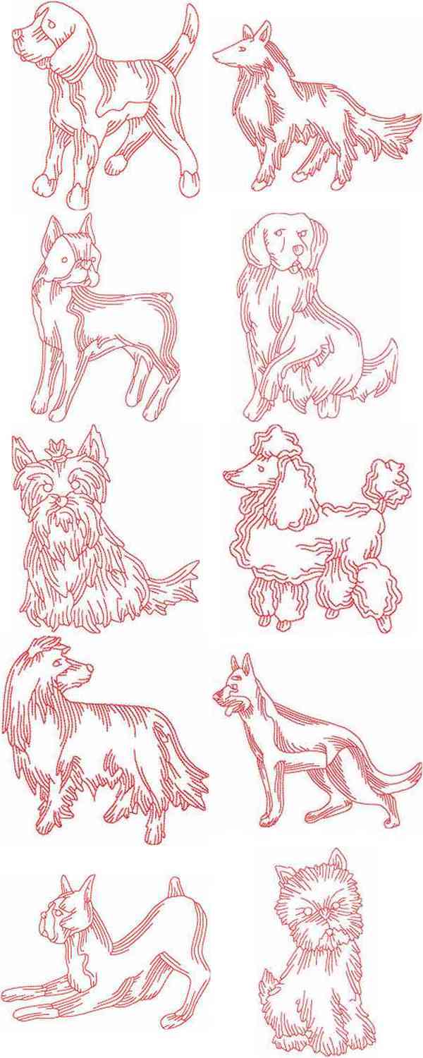 JN Dogs Embroidery Machine Design Details
