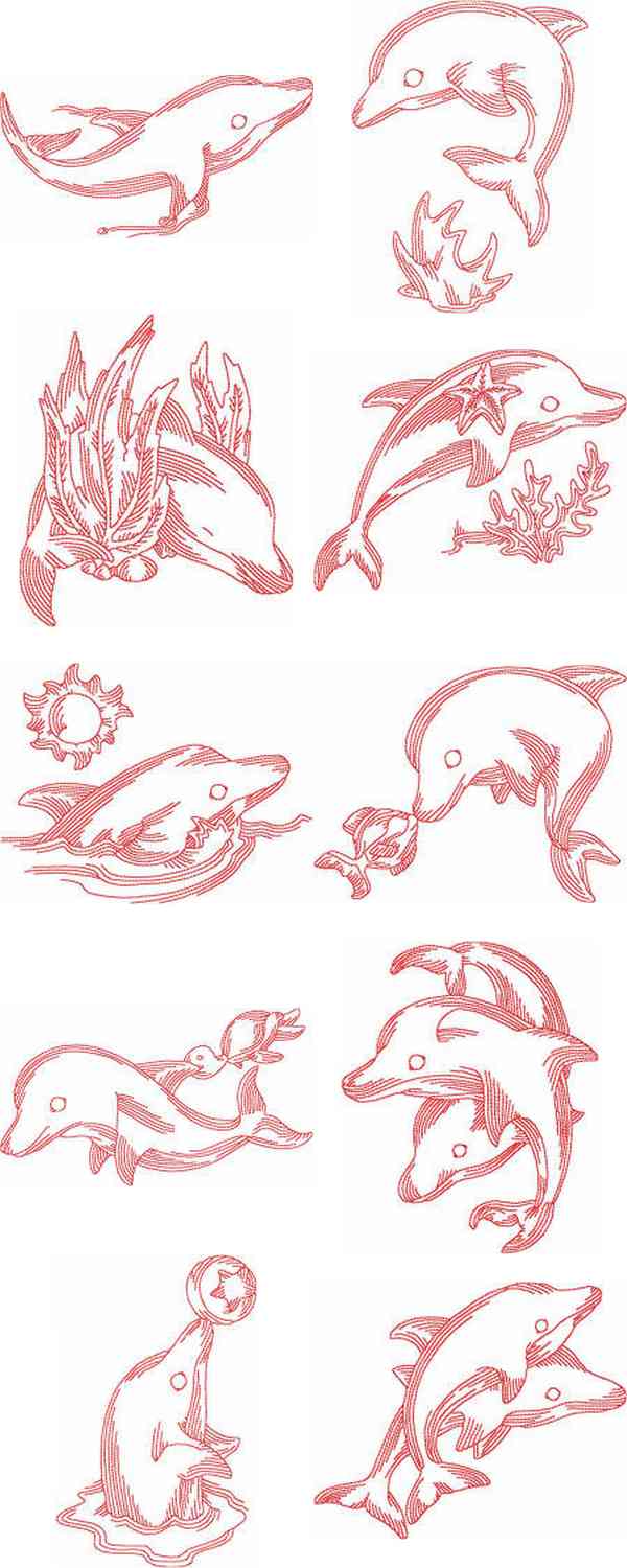JN Dolphins Embroidery Machine Design Details