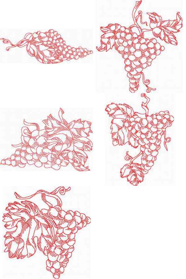 JN Grapes Embroidery Machine Design Details