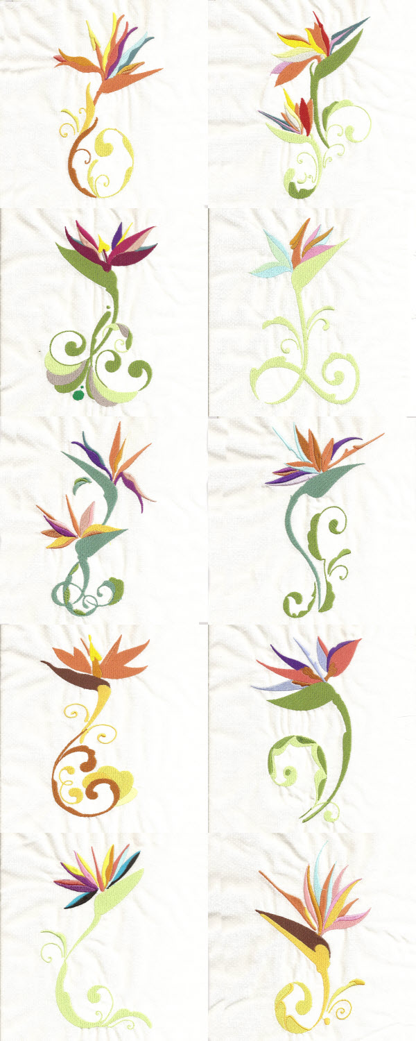 Stylized Birds of Paradise Embroidery Machine Design Details