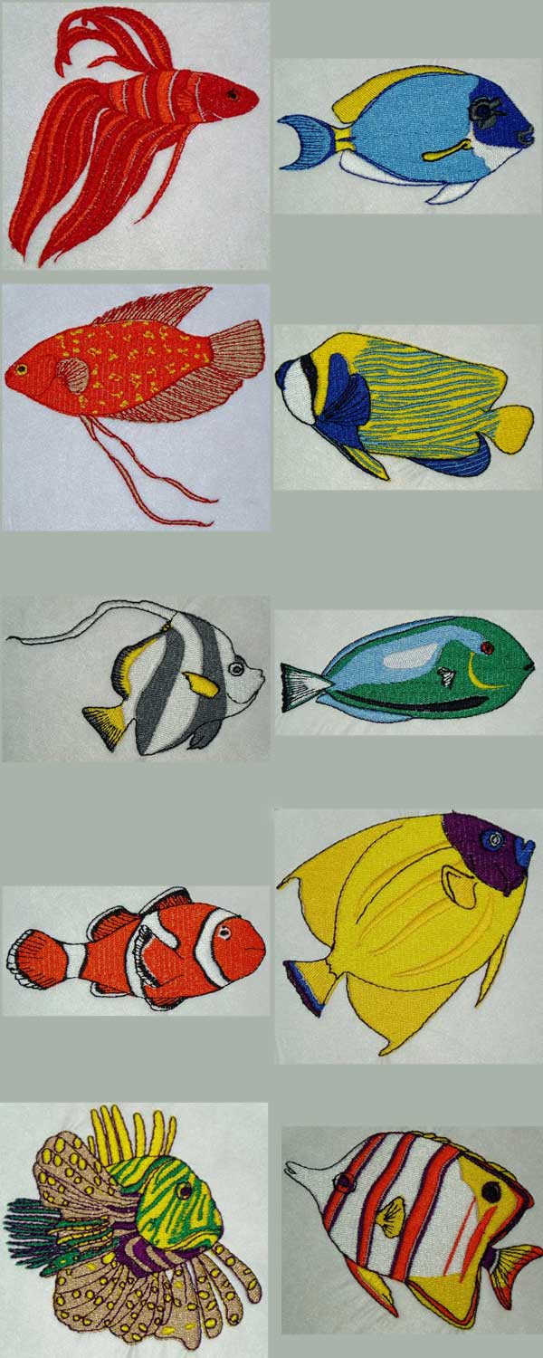 Tropical Fish Embroidery Machine Design Details